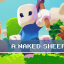 A naked sheep
