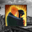 Broken Sword