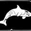 No Orca Whales Left