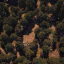 Maze
