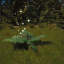 Bracken Fern