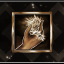 All Decked Out achievement
