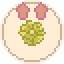 Harvest Cabbage