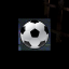 Sports Supporter