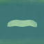 Gandhi moustache