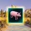 Oink! achievement