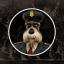 Good cop