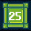 Level 25 Complete!