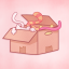 All Cat’s in a Box