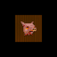 Here piggy piggy!
