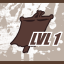Standard - Level 1 achievement