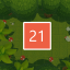 Level 21