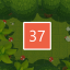 Level 37