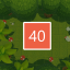 Level 40