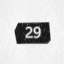 Level 29