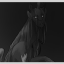 A Ravenous Heart