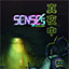 SENSEs: Midnight