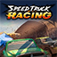 Speed Truck Racing