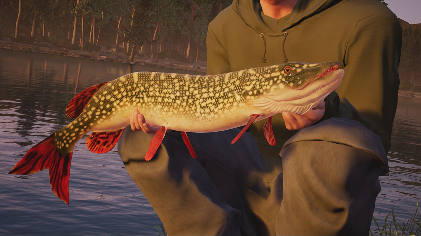 Fishing Sim World screenshot 16951