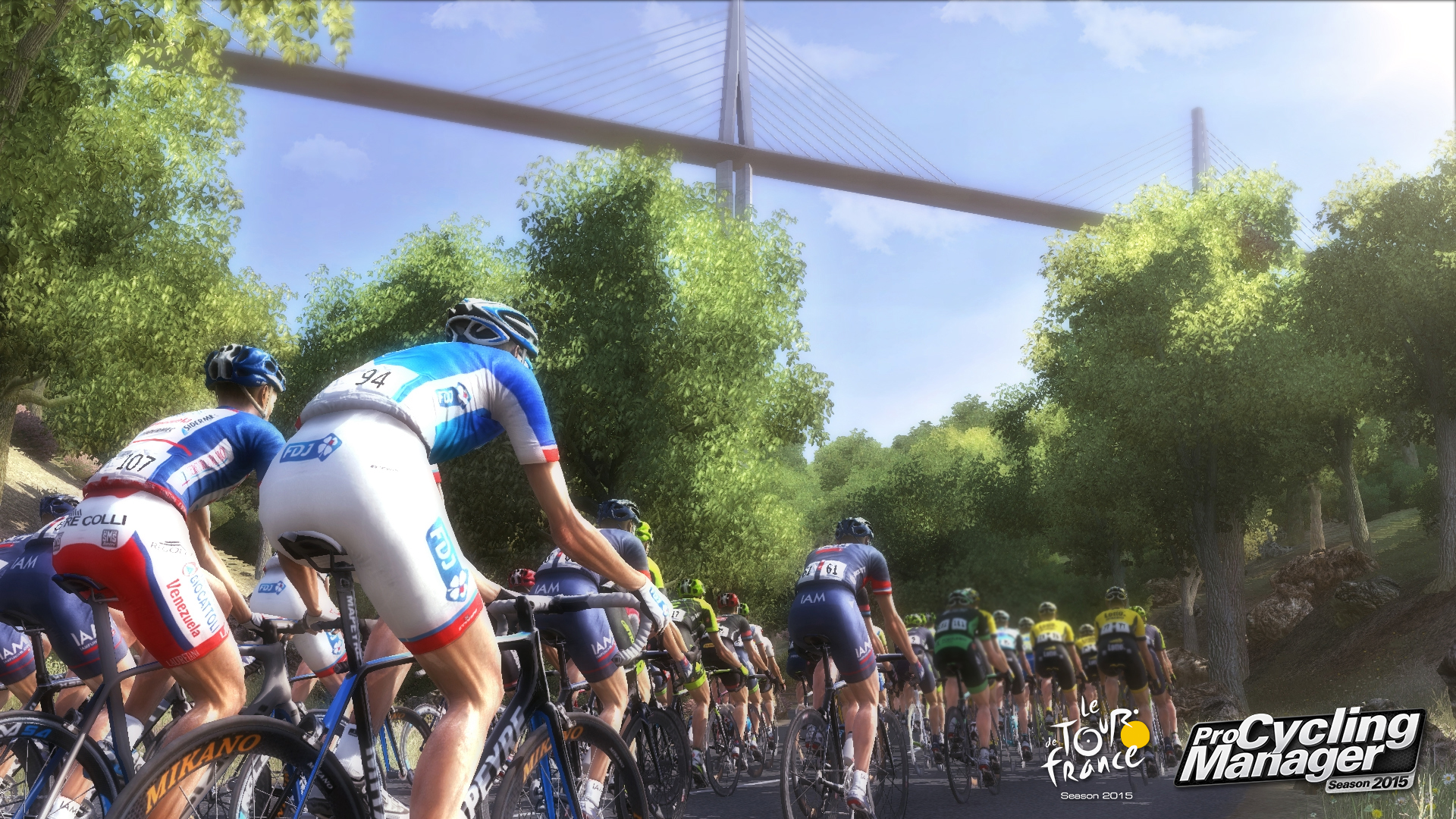 Tour de France 2015 screenshot 3110