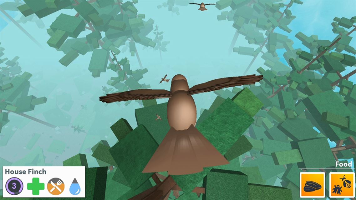 ROBLOX screenshot 5918