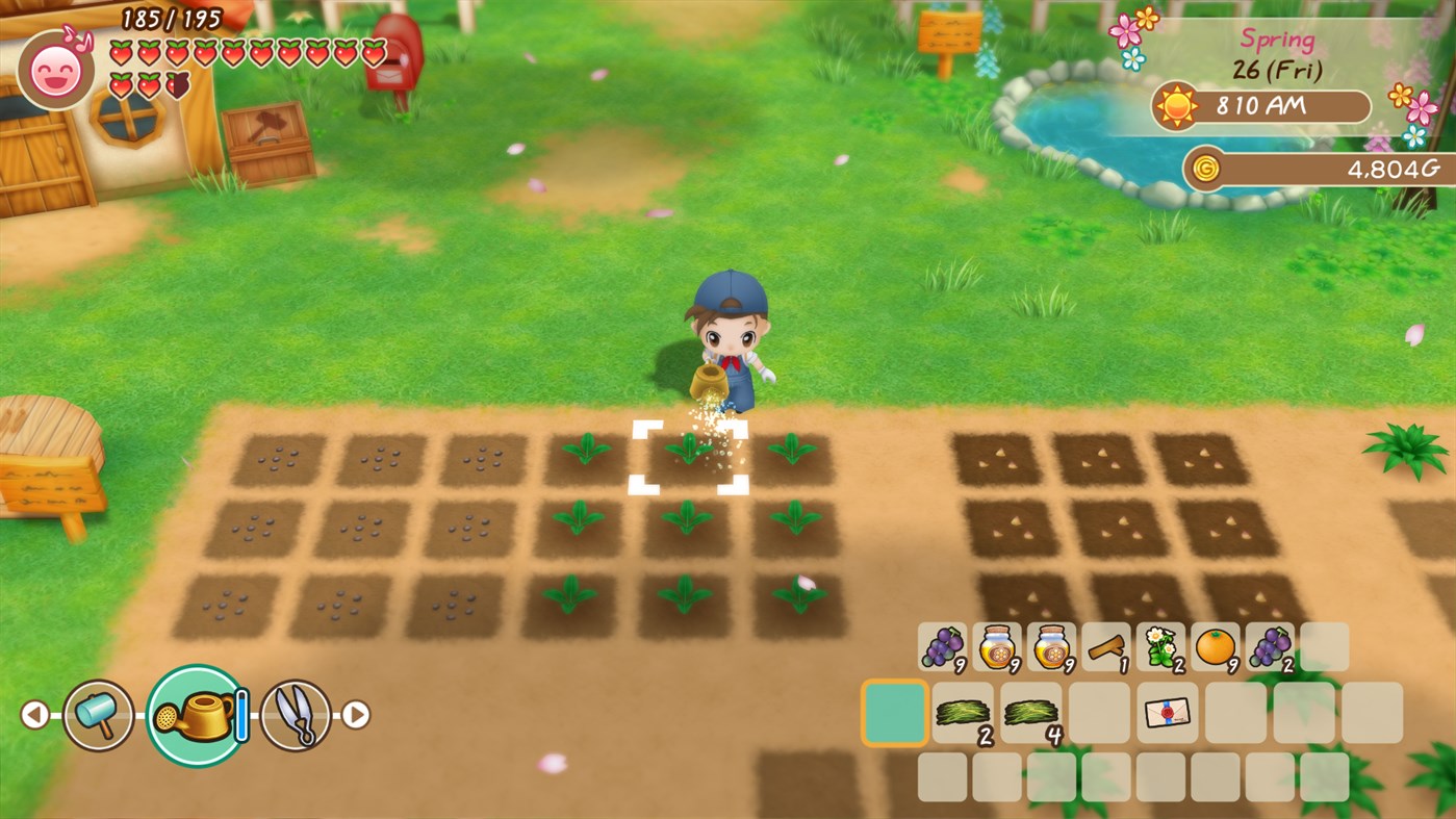 STORY OF SEASONS: Friends of Mineral Town screenshot 43051