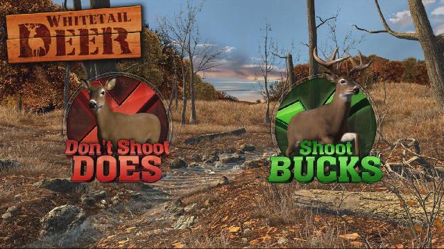 Big Buck Hunter Arcade screenshot 8396