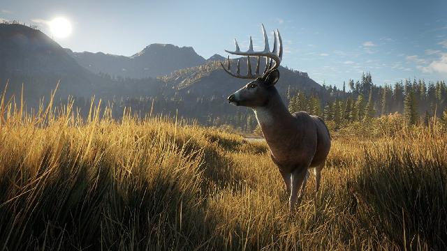 theHunter: Call of the Wild screenshot 11999