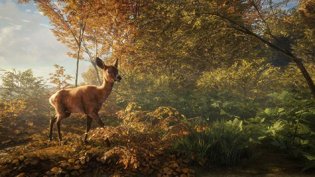 theHunter: Call of the Wild screenshot 12512