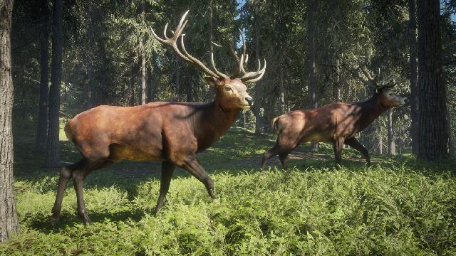 theHunter: Call of the Wild screenshot 12514