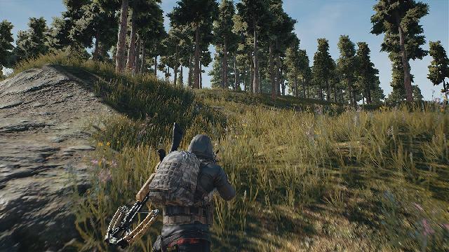 PUBG - PlayerUnknown’s Battlegrounds screenshot 13522