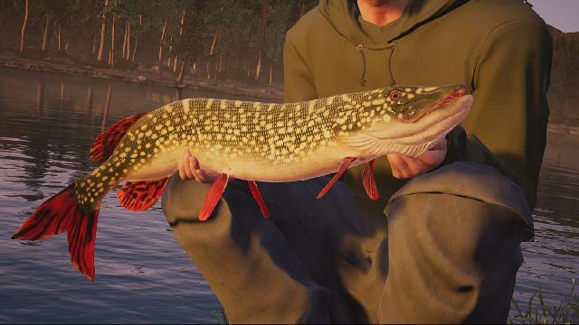 Fishing Sim World Screenshots, Wallpaper