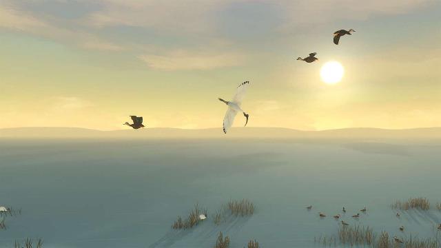 Storm Boy screenshot 17609
