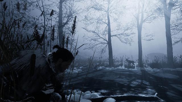 Fade to Silence screenshot 19634