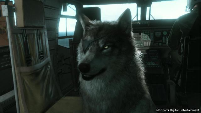 Metal Gear Solid V: The Phantom Pain screenshot 3022
