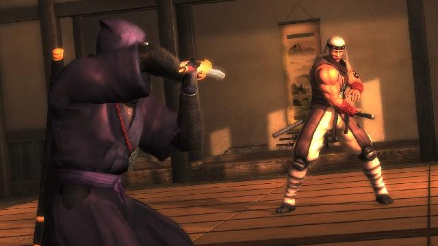 Ninja Gaiden Sigma screenshot 34241