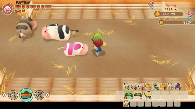 STORY OF SEASONS: Friends of Mineral Town screenshot 40038