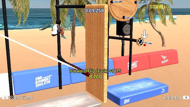 Pro Gymnast Simulator screenshot 45331