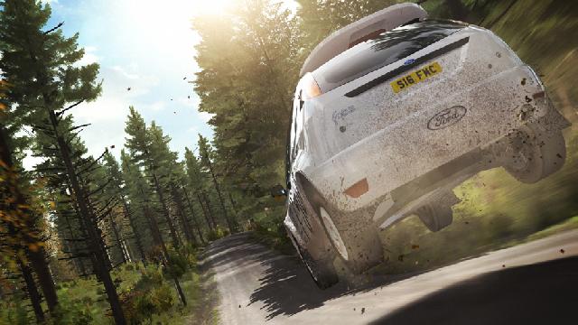 DiRT Rally screenshot 5541