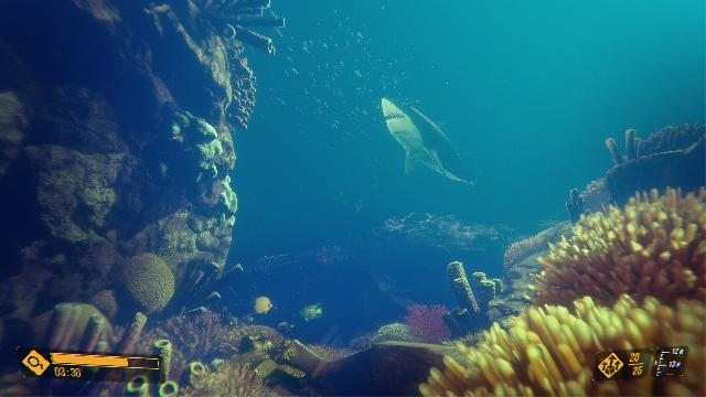 Deep Diving Adventures Screenshots, Wallpaper