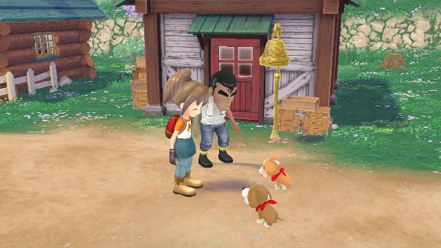 STORY OF SEASONS: A Wonderful Life screenshot 57404