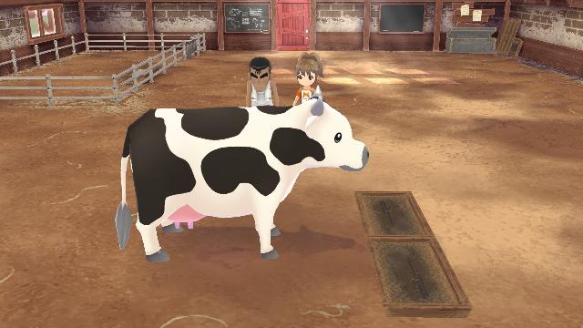 STORY OF SEASONS: A Wonderful Life screenshot 57407