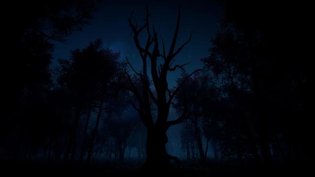 Slender: The Arrival screenshot 59742