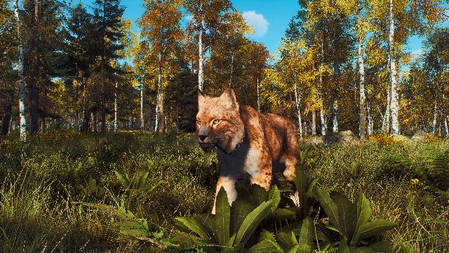Way of the Hunter - Lintukoto Reserve screenshot 70657