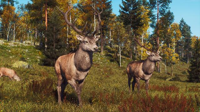 Way of the Hunter - Lintukoto Reserve screenshot 70659