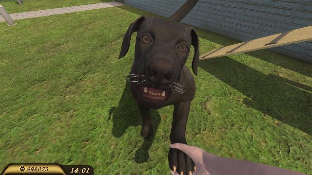 Pets Hotel screenshot 71234