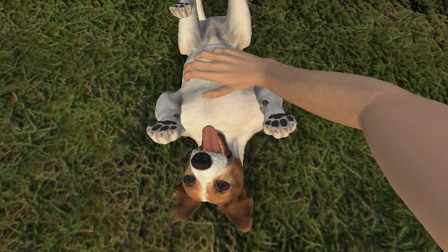 Pets Hotel screenshot 71238