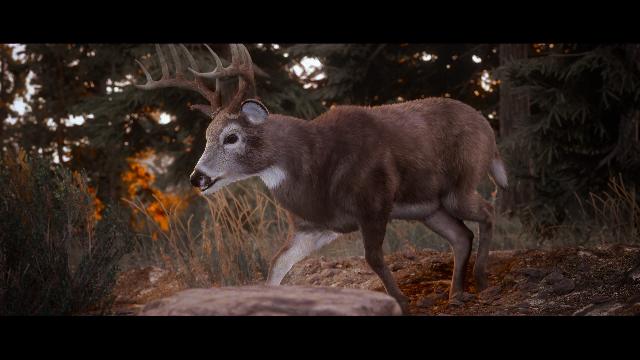 Hunting Simulator 3 screenshot 72443