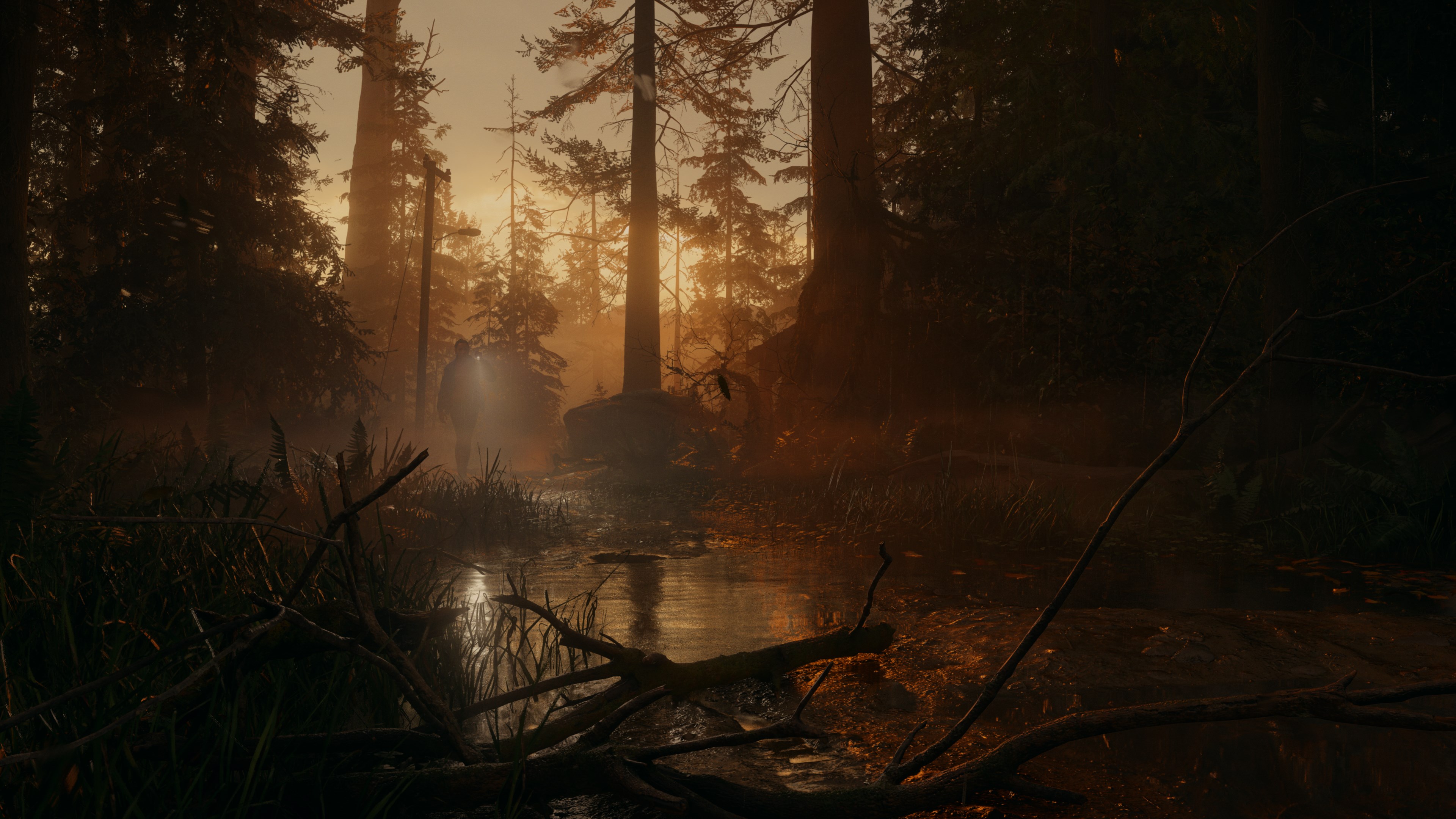 Alan Wake 2 screenshot 56106