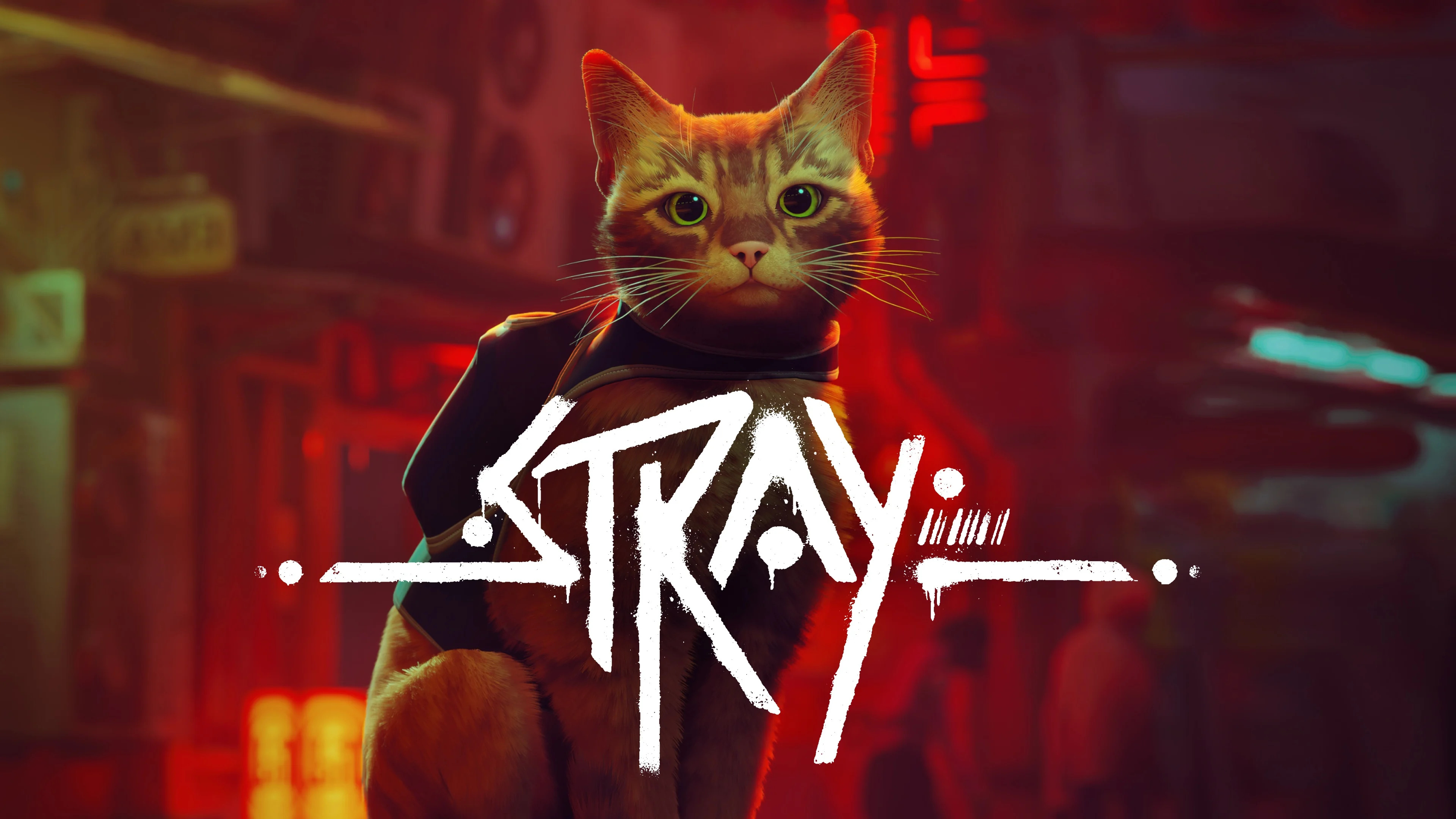 STRAY screenshot 57822